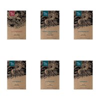 Té de hierbas casero - Semillas- Set de regalo