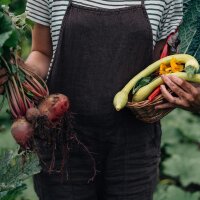 Verduras trepadoras - Kit de semillas regalo