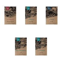 Flores de crecimiento rápido - set regalo de semillas