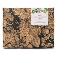 Set de descubrimiento de las plantas infantil- Set de regalo de semillas