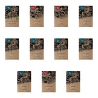 Plantas clásicas del monasterio - Set de regalo de semillas
