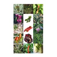 Rarezas vegetales Italianas - Set de semillas de regalo
