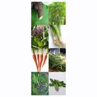 Selección de verduras asiáticas- Set de regalo de semillas