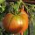 Tomate Noire de Crimée (Solanum lycopersicum) semillas