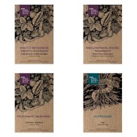Alcachofa, hinojo romanesco, lechuga y salvia- Set de regalo de semillas
