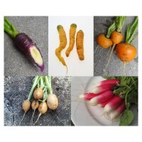 Zanahorias y rábanos- Set de regalo de semillas