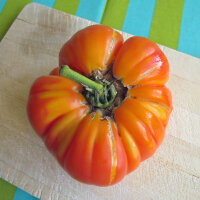 Deliciosos tomates gigantes de reliquia - set de semillas