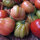 Deliciosos tomates gigantes de reliquia - set de semillas