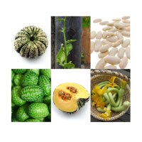 Verduras trepadoras - Kit de semillas