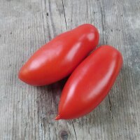 Tomate San Marzano (Solanum lycopersicum) orgánico...