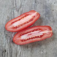 Tomate San Marzano (Solanum lycopersicum) orgánico semillas