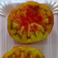 Tomate "Ananas Noire" (Solanum lycopersicum)...