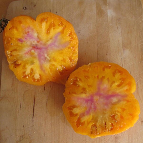 Tomate "Old German" (Solanum lycopersicum) semillas