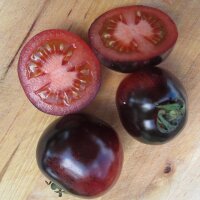 Tomate "Indigo Rose" (Solanum lycopersicum) semillas