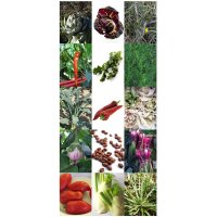 Rarezas vegetales Italianas - Set de semillas