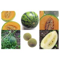 Melones robustos - Set de semillas