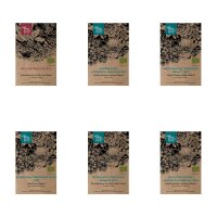 Flores coloridas aptas para insectos (ecológicas) -Set de regalo de semillas