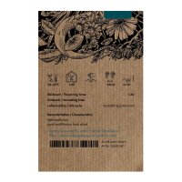 Bulbina/ Flor de serpiente (Bulbine frutescens) orgánico semillas