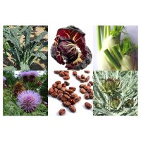 Hortalizas italianas antiguas (Orgánicas) - Set de regalo de semillas