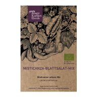 Misticanza - mezcla de lechuga (Lactuca sativa) orgánica
