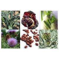 Hortalizas italianas antiguas (Orgánicas) - Set de semillas