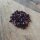 Maíz palomero negro (Zea mays) orgánico semillas
