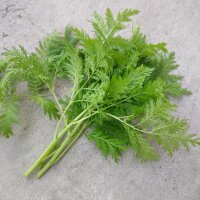 Qing Hao/ Ajenjo chino (Artemisia annua) orgánico...