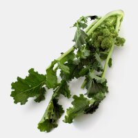 Nabo de grelo / Cima di Rapa (Brassica rapa sylvestris)...