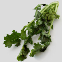 Nabo de grelo / Cima di Rapa (Brassica rapa sylvestris) orgánico semillas