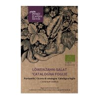 Achicoria "Catalogna foglie frastagliate" (Cichorium endivia) orgánica semillas