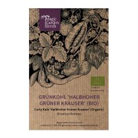 Col rizada Halbhoher Grüner Krauser (Brassica oleracea) orgánico semillas