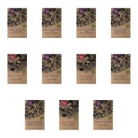 Hortalizas para bancal elevado para principiantes (ecológicas)- Set de regalo de semillas