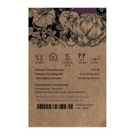 Mezcla de zanahoria (Daucus carota) semillas