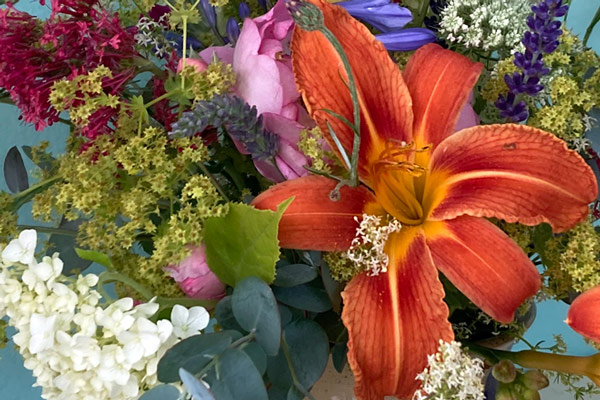 Fuego, flores y aroma de hierbas - celebra la magia de la noche de San Juan Blogpost Illustration