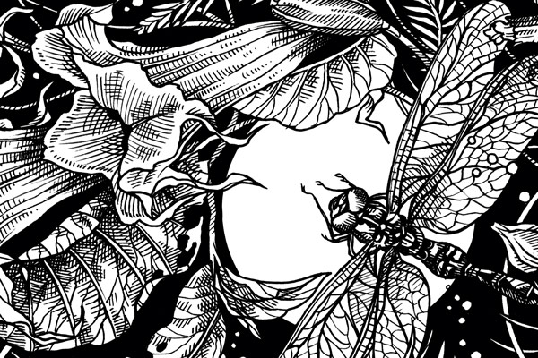 Earth Night: cuando el jardín se oscurece  Blogpost Illustration